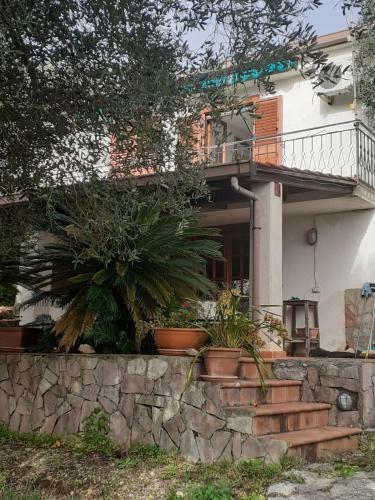 Villa Degli Ulivi