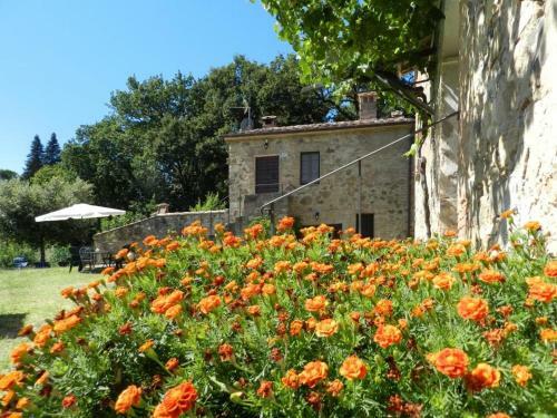 Castigliona Cetona Siena