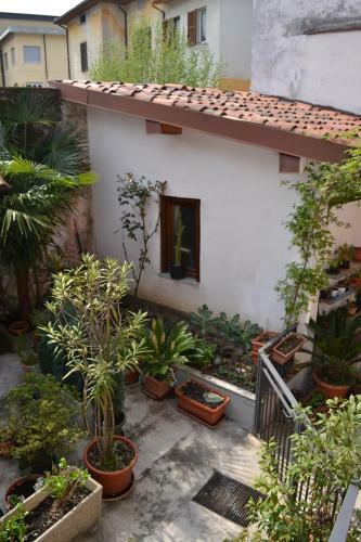 Apartamento Casa Del Cedro - Cedar House