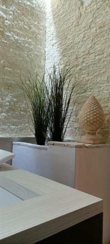 Casa Vacanze Fiore Di Loto