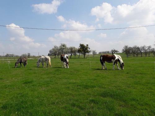 G�te La Besse, Claudon
