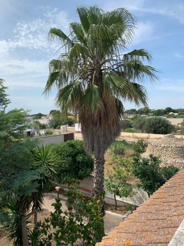 Villa Salento Localit� Torre Ovo - Villa Cice