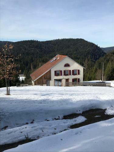 Lodge Maison Foresti�re De Schmalick
