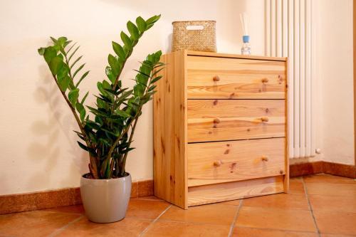 Apartamento [10 Minuti Dal Mare?????] Borgo Storico Ligure