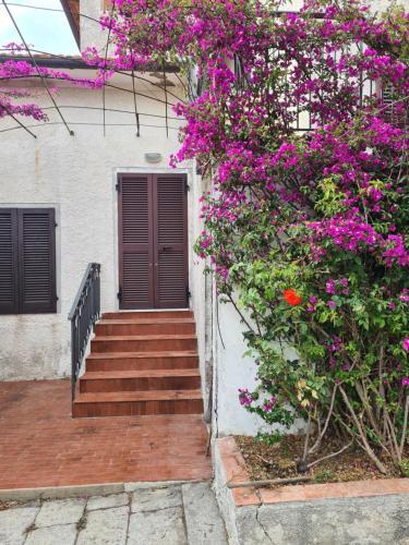 Apartamento Bonalaccia Green