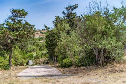 Apartamento Rustico 3 Con Vista