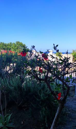 Apartamento Holiday Home Mennulita