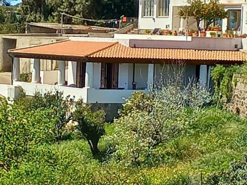 La Casa Tra Il Verde E Il Blu