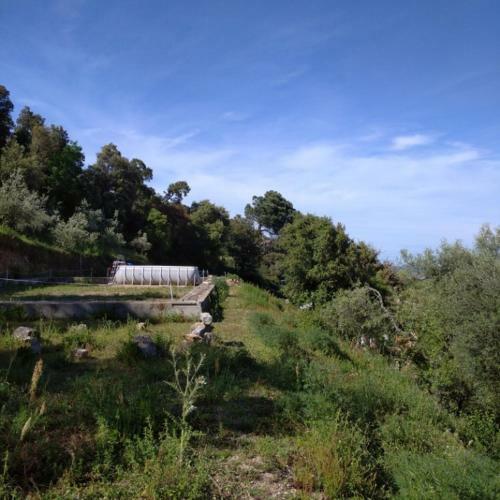Yogaville Sardegna