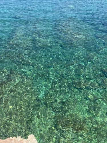 Bed & Breakfast I Colori Del Mare