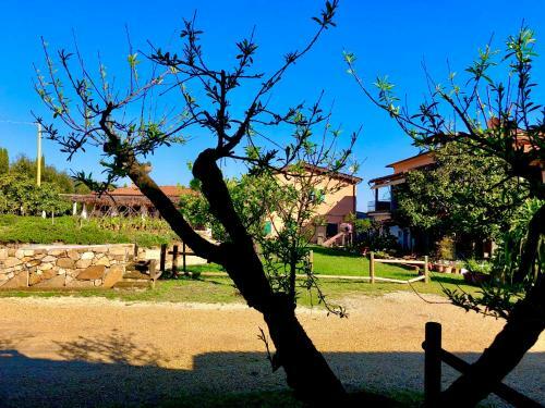 Agroturismo Agriturismo Montefabbrello