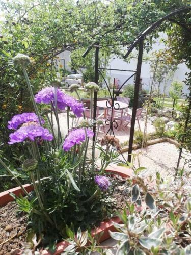 Apartamento Appartamento Erica Alpe Adria