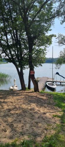 Apartament Z Du?ym Tarasem Nad Jeziorem Wa?pusz