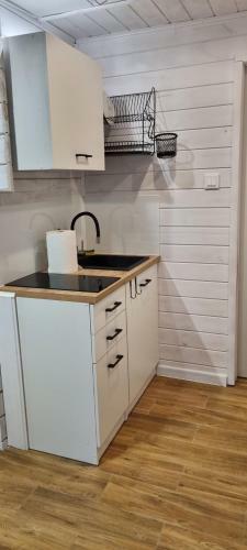 Apartament Z Du?ym Tarasem Nad Jeziorem Wa?pusz
