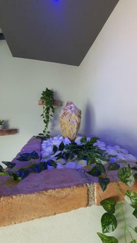 Bed & Breakfast La Rosa Dei Venti