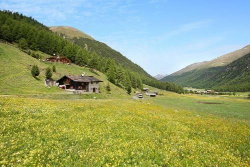 Chalet Shalom Livigno