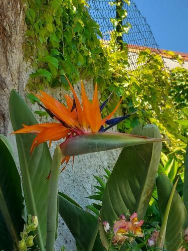Our Happy Place - Casa Vacanze Per Il Viaggiatore Slow