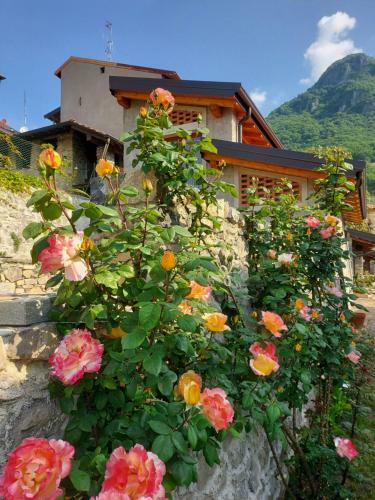 Our Happy Place - Casa Vacanze Per Il Viaggiatore Slow