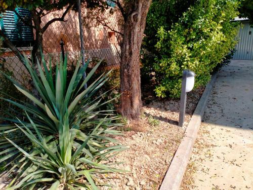 Hostal Il Cantuccio