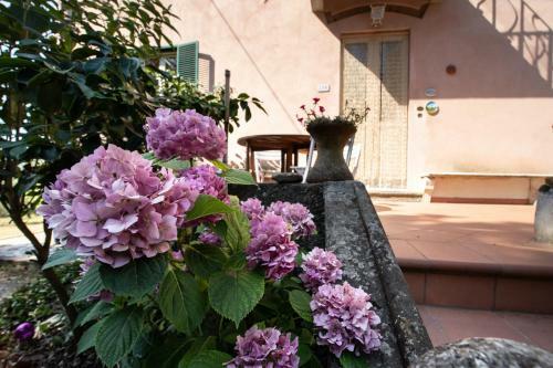 Villa Enza With Swimming Pool