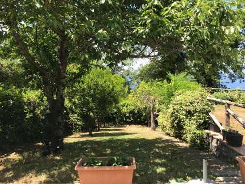 Villa Rosamaria - Lucania Experience