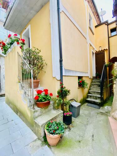 Hostal Un Nido Nei Vicoletti Del Centro