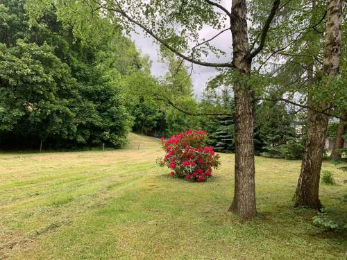 Apartamento Arboretum