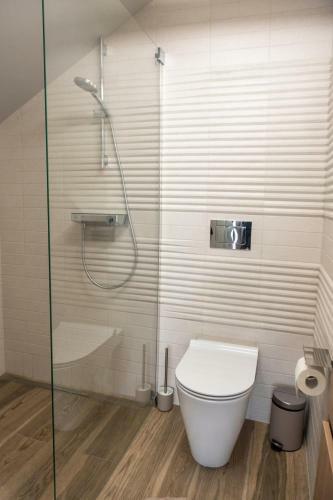 Izerski Resort Premium Apartment