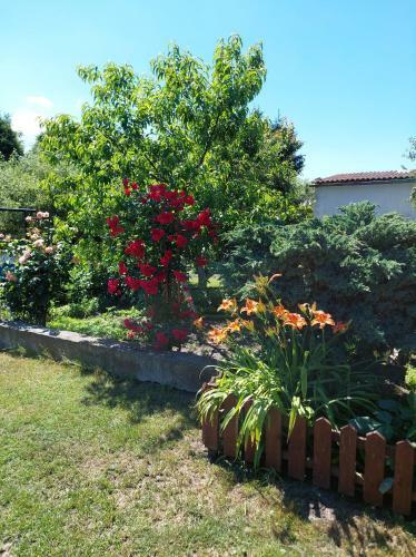 Apartamento Domek Na Gda?skiej