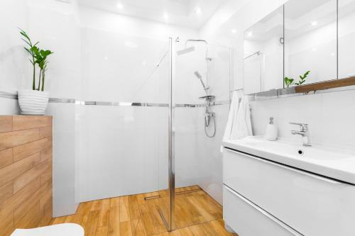 Apartament Rowerowo Przez Mierzej?, Rowery W Cenie