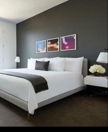 Gryf Exclusive Apartments In Centum