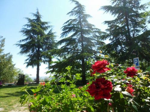 Agroturismo Agriturismo La Quiete