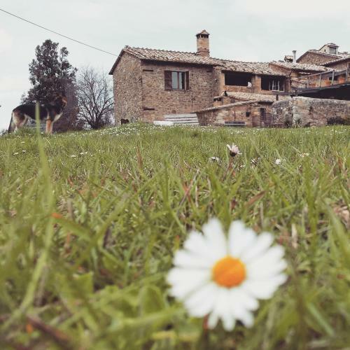 Agroturismo Agriturismo Il Cocco