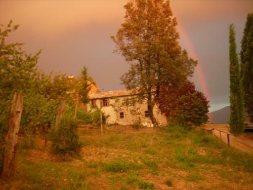 Agroturismo Agriturismo Il Cocco