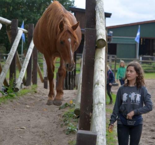 Pony-ranch-h�tte