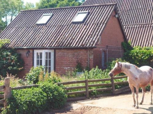 Pony-ranch-h�tte