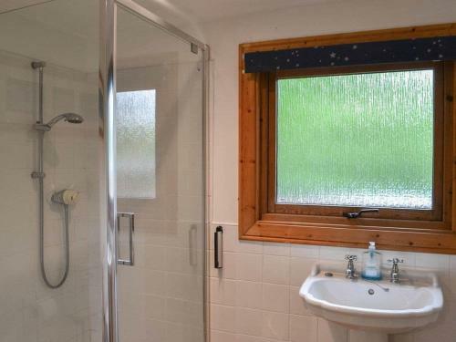 Red Kite Lodge - Uk37417