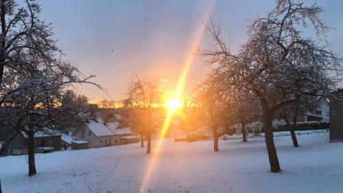 Hotel Gasthaus Sonne