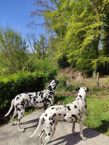 Tente Medley (6p) Proche F�camp Etretat
