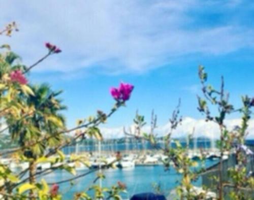 Logement Atypique Golfe De Saint Tropez