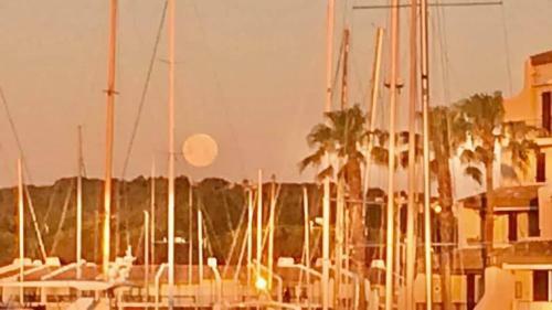 Logement Atypique Golfe De Saint Tropez