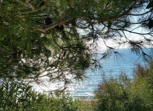 Apartamento La Barchetta Sul Mare