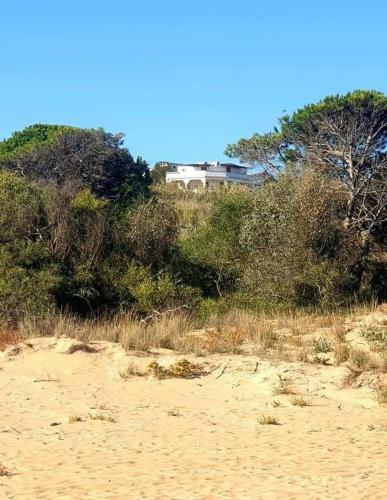 Apartamento La Barchetta Sul Mare