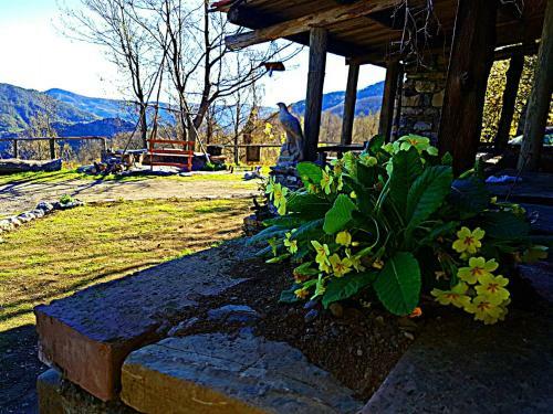 Bed & Breakfast Rifugio Aquila Verde