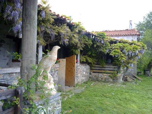 Bed & Breakfast Rifugio Aquila Verde
