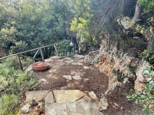Apartamento Villa Degli Ulivi Garden