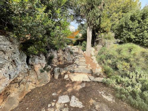Apartamento Villa Degli Ulivi Terrace