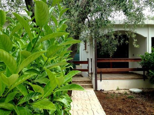 Holiday Apartment Orchidea With Swimming Pool And Private Beach -2