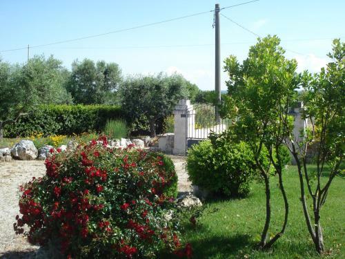 Agroturismo Trullo "fortuna"