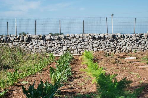 Agroturismo Trulli Centenari